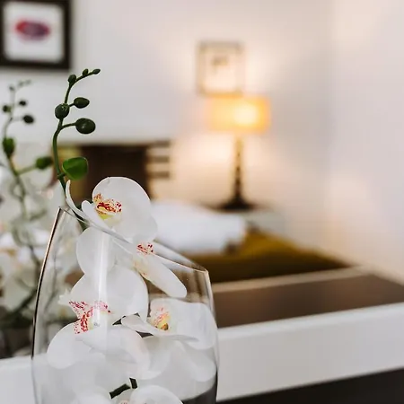 Barrocas Village Villa Olho Marinho