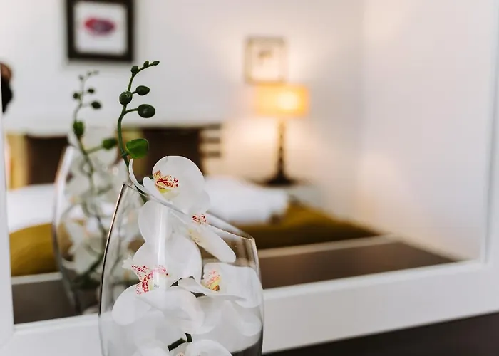 Barrocas Village Villa Olho Marinho